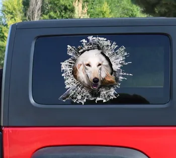 Afganistanski hound okno nalepke , avto nalepke, Afganistanski hound nalepka