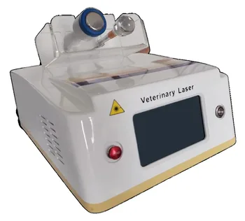 Hujšanje Pralni Mačka Pes 30W 980Nm Laser Celjenja Ran Ledeni Obkladek Kladivo Pes Terapija Stroj